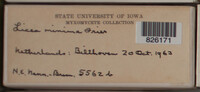 Image Associated With the Occurence